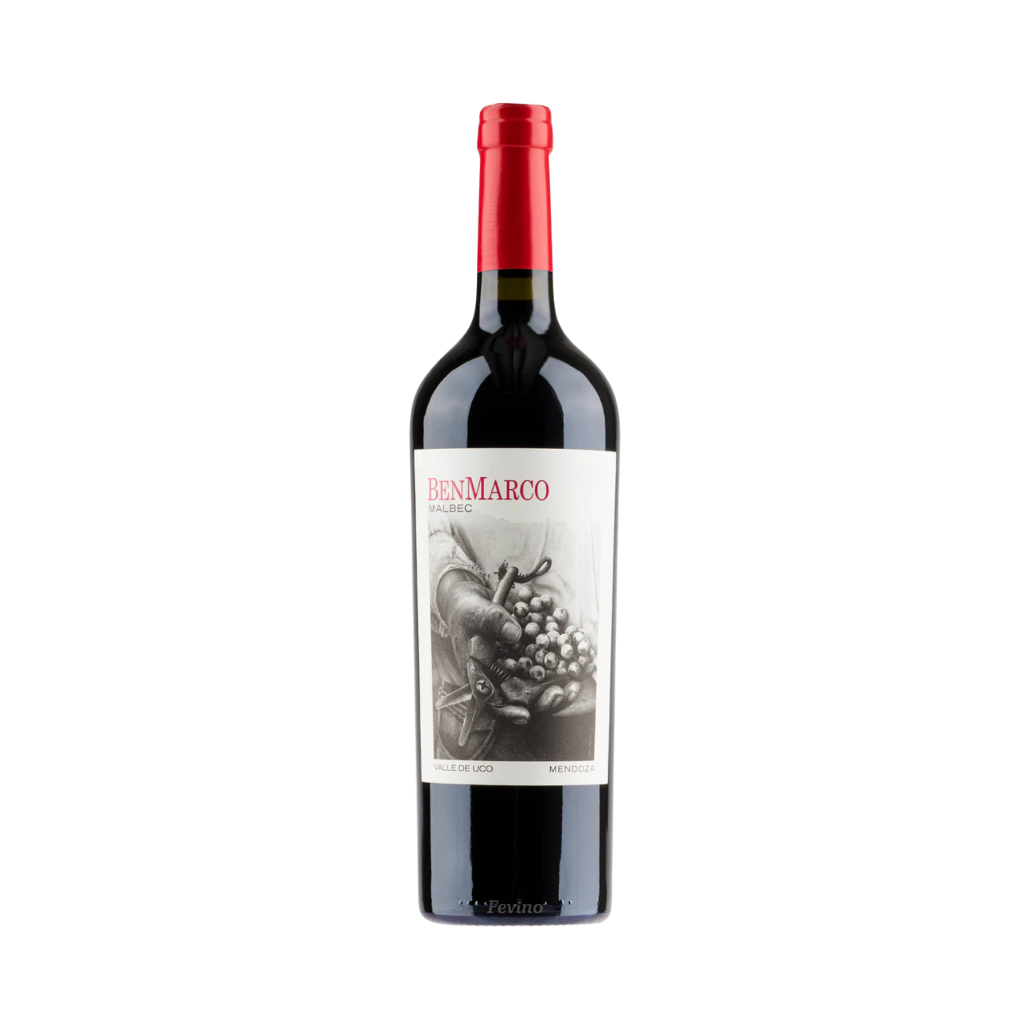 Rode wijn van Susana Balbo, Ben Marco Malbec, uit het jaar 2022, voor Fevino